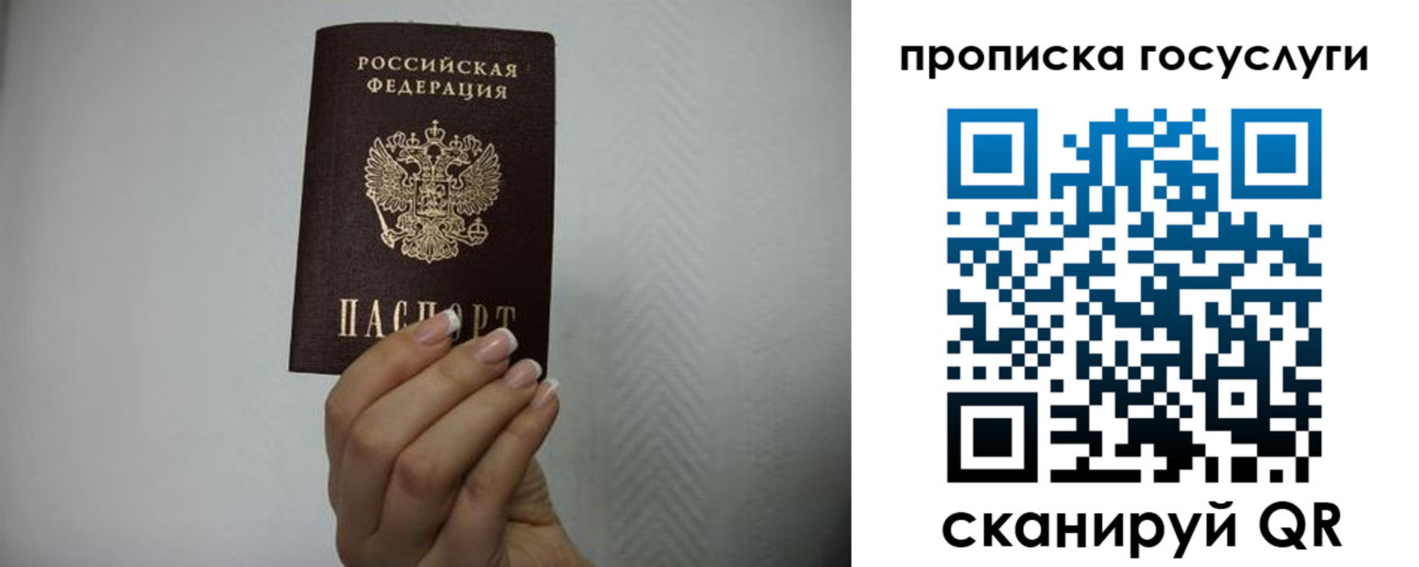 прописка поиск в Таганроге